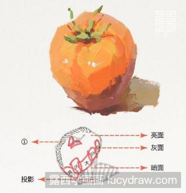 单个水粉西红柿的画法