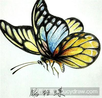 如何画彩铅的蝴蝶
