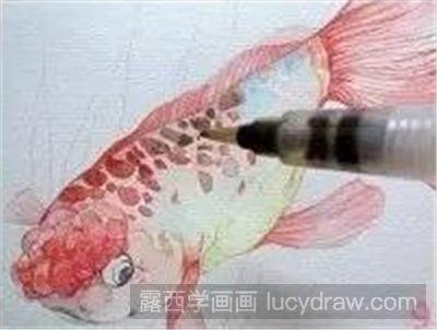 怎么用水彩画小丑鱼