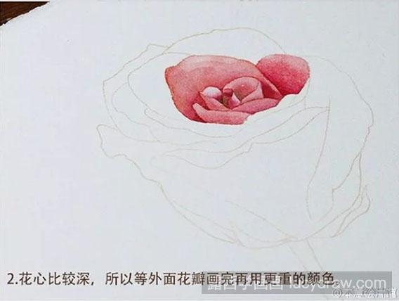 玫瑰水彩画教程图解