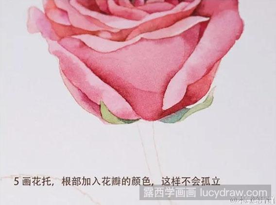 玫瑰水彩画教程图解