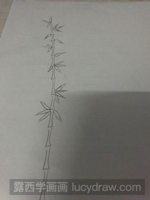 彩铅画竹子画法教程