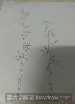 彩铅画竹子画法教程