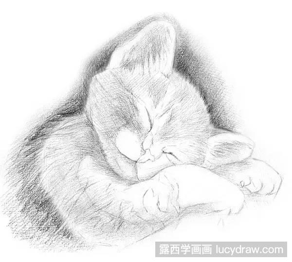 素描教程：如何画猫咪