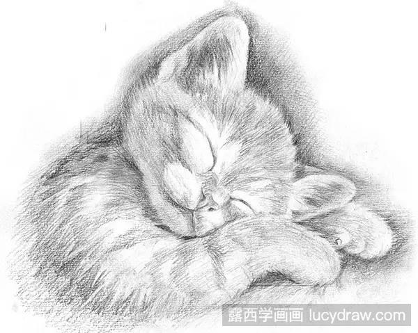 素描教程：如何画猫咪