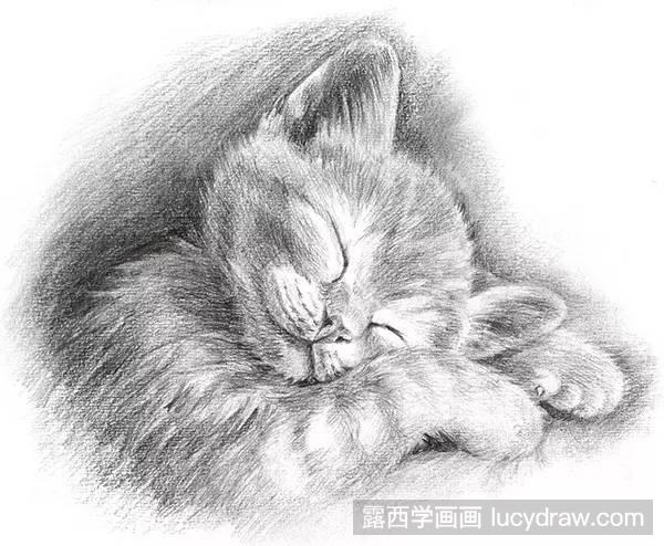 素描教程：如何画猫咪