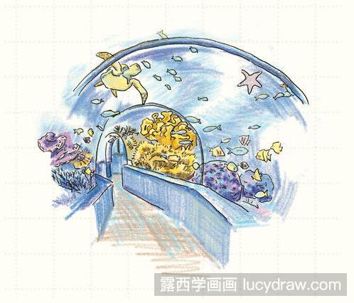 上海水族馆简笔画图片