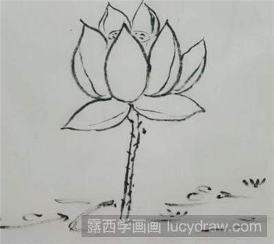 国画荷花的画法