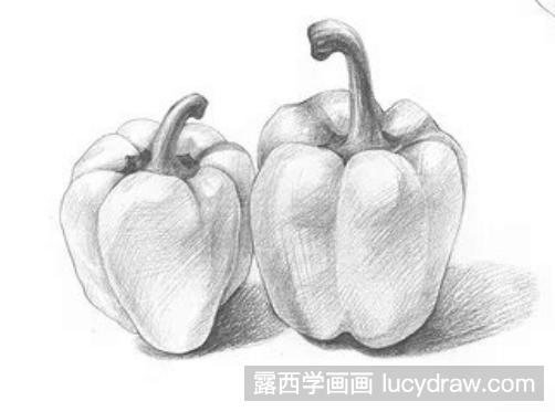 素描教程：怎么画青椒