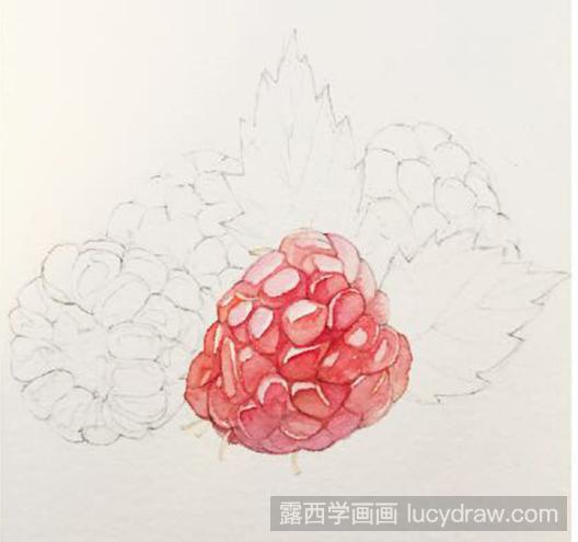 水彩画教程：怎么画树莓