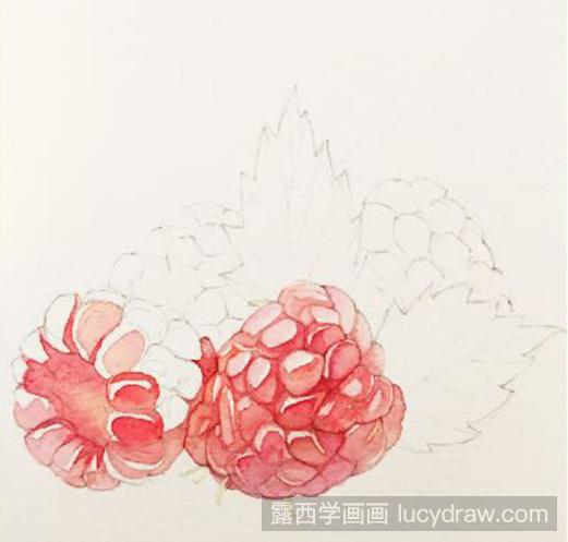 水彩画教程：怎么画树莓