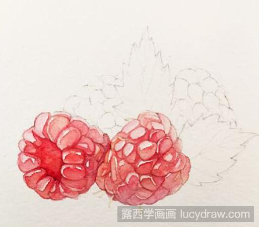 水彩画教程：怎么画树莓