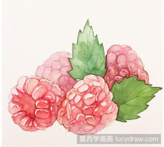 水彩画教程：怎么画树莓