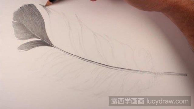 素描羽毛怎麼畫