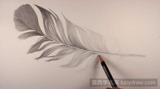 素描羽毛怎麼畫