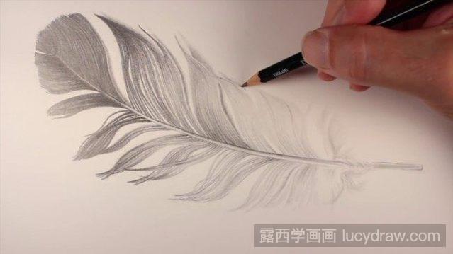 素描羽毛怎么画