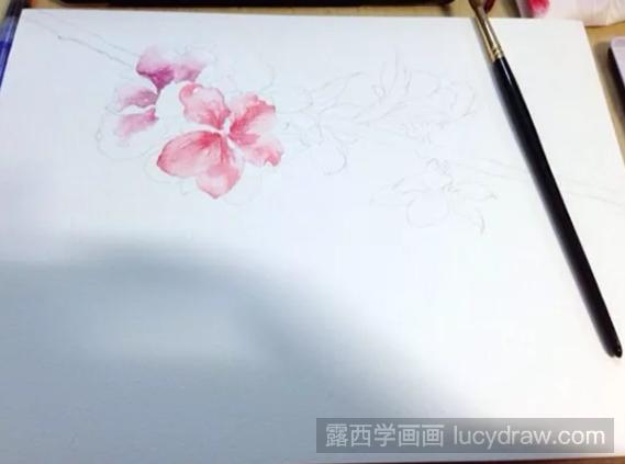 水彩画教程：怎么画桃花