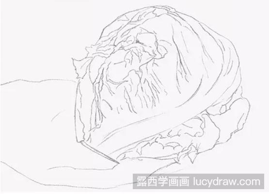 素描教程:怎么画圆生菜