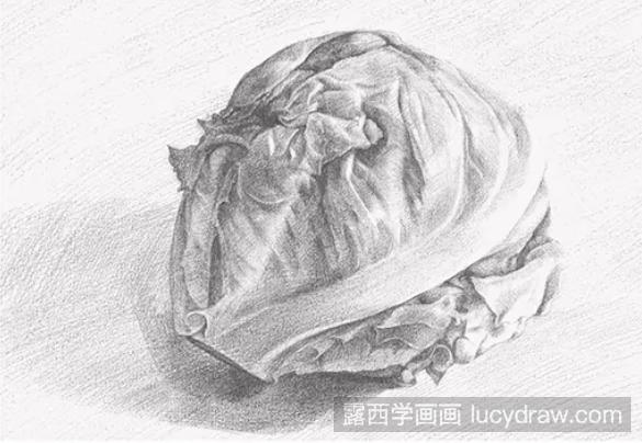 素描教程：怎么画圆生菜