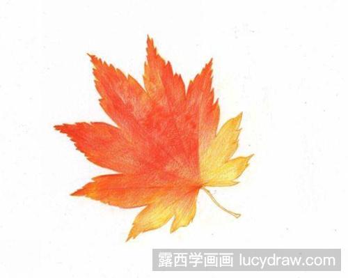 彩铅画教程：一片枫叶情