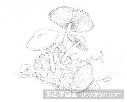 树桩上的蘑菇水彩画教程