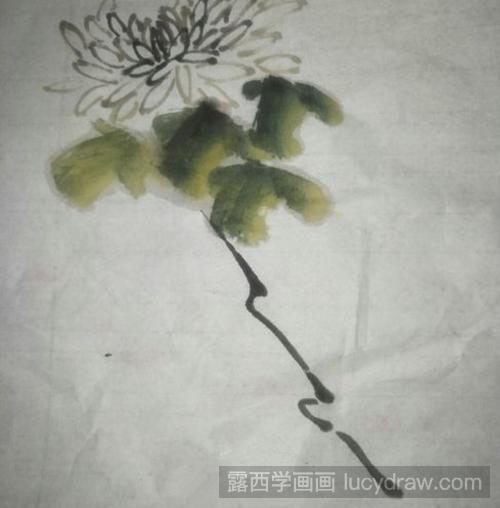 国画菊花的画法教程