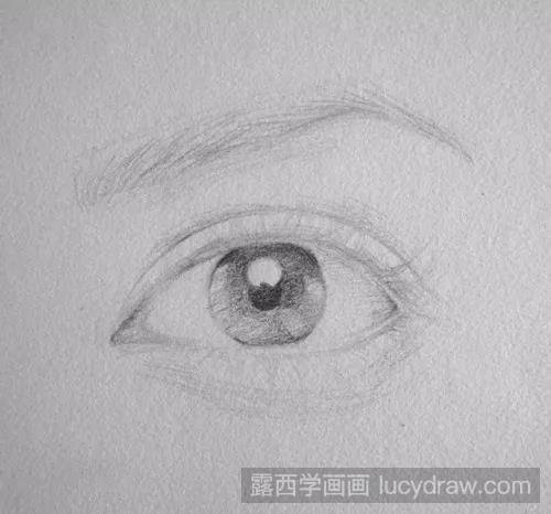 素描入门：眼睛素描画法