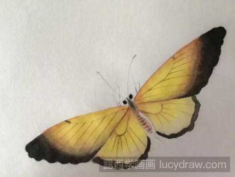 工笔画蝴蝶上色步骤