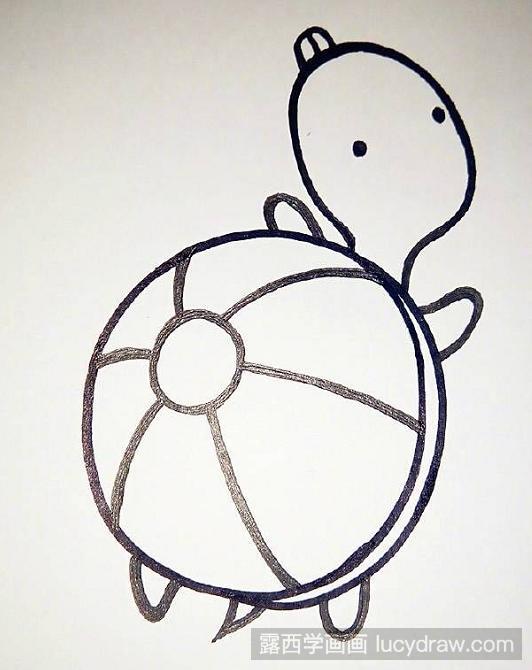 乌龟图画法图片