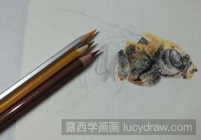 小蜜蜂彩铅画教程