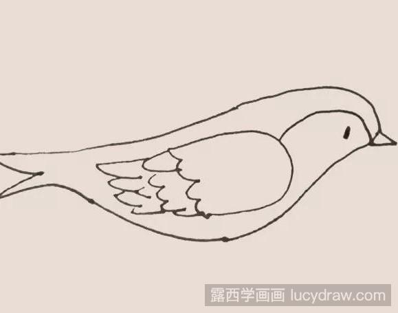 黄鹂鸟简笔画教程