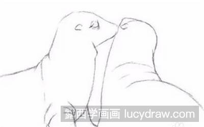 小海狮的素描教程