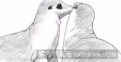 小海狮的素描教程