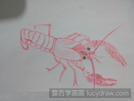 彩铅画教程：教你画小龙虾