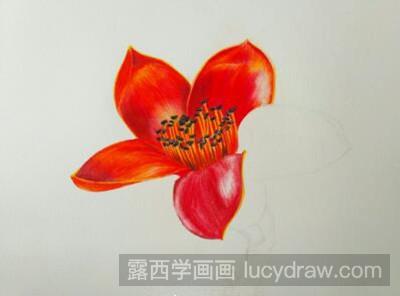 彩铅画教程：红彤彤的木棉花