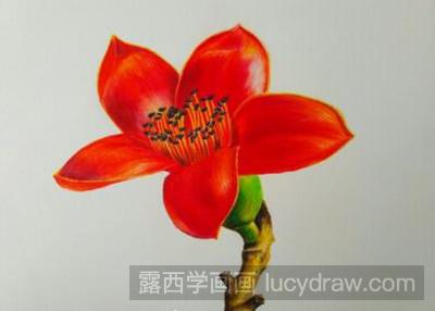 彩铅画教程：红彤彤的木棉花