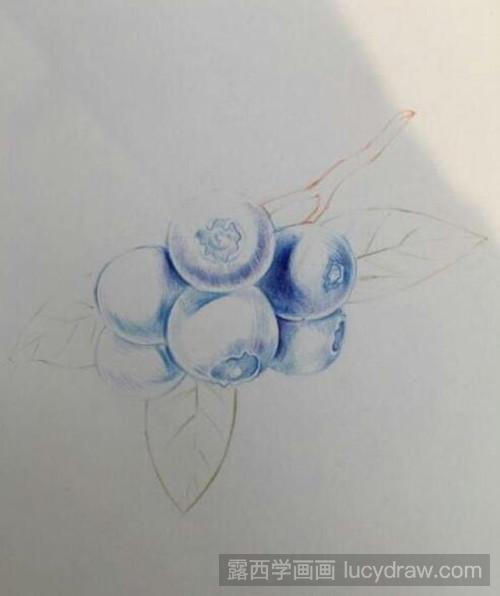 蓝莓彩铅画教程