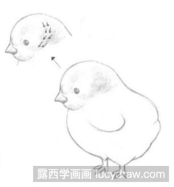 儿童画教程：怎么画小鸡