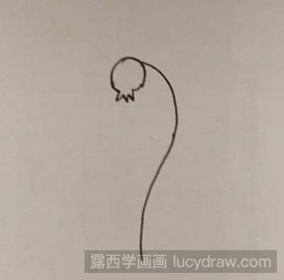 简笔画教程：教你画灯笼草