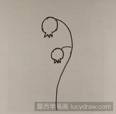 简笔画教程：教你画灯笼草