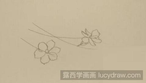 彩铅画教程：教你画迎春花