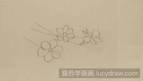 彩铅画教程：教你画迎春花