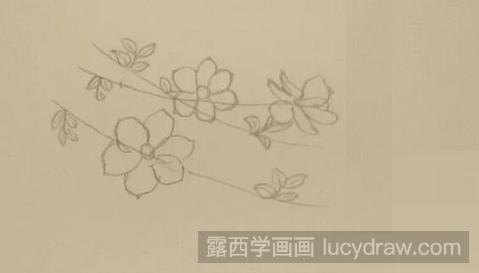 彩铅画教程：教你画迎春花