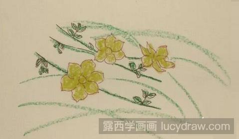 彩铅画教程：教你画迎春花