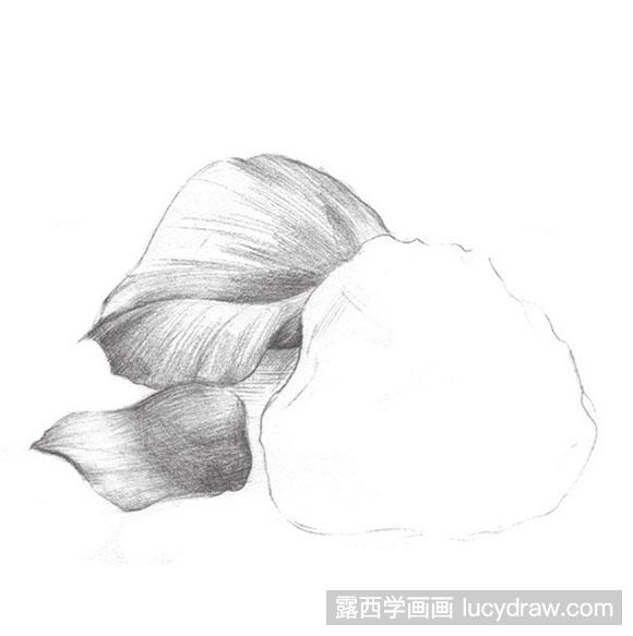 素描玫瑰花瓣的绘画教程