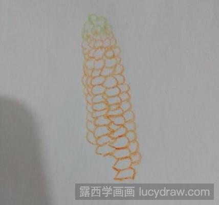 彩铅画教程：教你画玉米苞谷