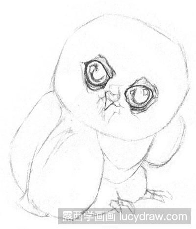素描教程：小猫头鹰的画法步骤
