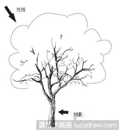 钢笔画教程：怎样画一棵树