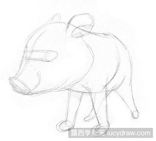 素描动物-素描小野猪教程