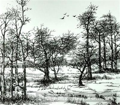 钢笔画教程：树木风景的画法